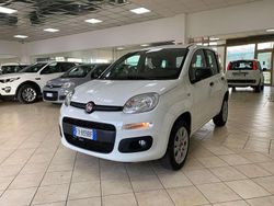 Bianco Usata 2019 Fiat Panda Easy Due volumi | 9300 € (Buon prezzo)