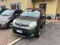 Verde Usata 2014 Fiat Panda 4x4 Due volumi | 8500 € (Buon prezzo)