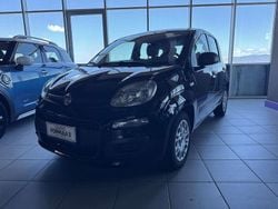 Nero Usata 2021 Fiat Panda Lounge Tre volumi | 10.900 € (Buon prezzo)