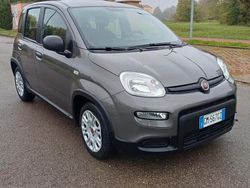 Grigio Usata 2022 Fiat Panda S Tre volumi | 9999 € (Buon prezzo)