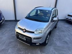 Argento Usata 2014 Fiat Panda 4x4 S Due volumi | 9990 € (Buon prezzo)