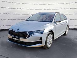 Argento Usata 2024 Skoda Octavia Executive Station wagon | 27.500 € (Buon prezzo)
