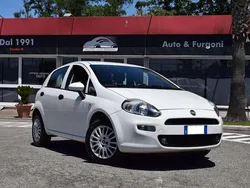 Bianco / pastello Usata 2017 Fiat Punto Due volumi | 5900 € (Buon prezzo)