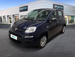 Blu Usata 2021 Fiat Panda S Due volumi | 10.900 € (Buon prezzo)