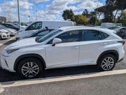 Bianco Usata 2018 Lexus NX300h Executive Line SUV | 23.500 € (Buon prezzo)