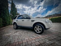 Bianco Usata 2010 Land Rover Freelander 2 SUV | 6000 €