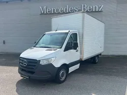 Bianco Usata 2019 Mercedes Sprinter Furgone | 19.000 € (Super prezzo)