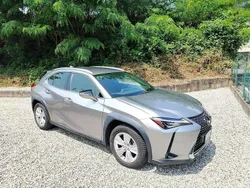 Grigio Usata 2019 Lexus UX Business Edition SUV | 19.500 € (Buon prezzo)
