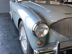 Blu Usata 1954 Austin-Healey 100 Cabrio | 64.900 €