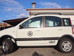 Bianco Usata 2005 Fiat Panda 4x4 Climbing Due volumi | 6500 € (Cara)