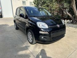 Nero Usata 2014 Fiat Panda Trekking Due volumi | 5699 € (Buon prezzo)