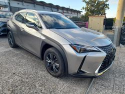 Marrone Nuova 2025 Lexus UX 300h SUV | 36.500 € (Molto cara)
