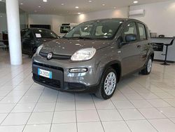 Grigio Usata 2023 Fiat Panda S Due volumi | 13.500 € (Cara)