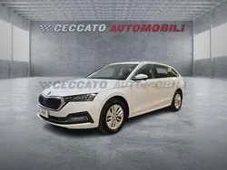 Bianco Usata 2024 Skoda Octavia Executive Station wagon | 25.175 € (Ottimo prezzo)