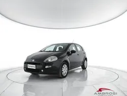 Nero Usata 2015 Fiat Punto Street Due volumi | 3626 € (Buon prezzo)