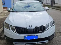 Bianco Usata 2019 Skoda Octavia Scout 4x4 Station wagon | 20.500 € (Cara)