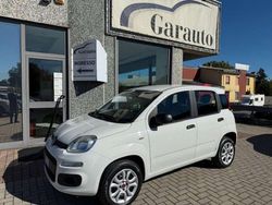 Bianco Usata 2019 Fiat Panda Due volumi | 7990 € (Buon prezzo)
