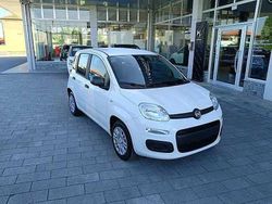 Bianco Nuova 2025 Fiat Panda Icon Due volumi | 14.750 €