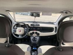 Marrone Usata 2013 Fiat Panda Active Due volumi | 5000 € (Buon prezzo)