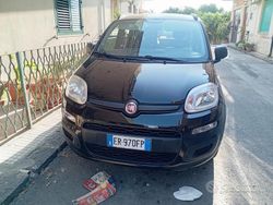 Nero Usata 2013 Fiat Panda Due volumi | 6000 € (Cara)