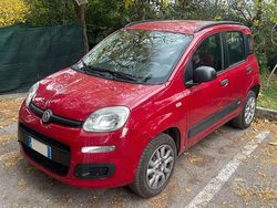 Rosso Usata 2014 Fiat Panda Easy Tre volumi | 3500 € (Ottimo prezzo)
