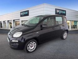 Nero Usata 2020 Fiat Panda Easy Due volumi | 10.150 € (Buon prezzo)