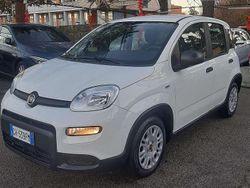 Bianco Usata 2024 Fiat Panda Due volumi | 11.250 € (Buon prezzo)