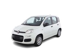 Bianco Usata 2019 Fiat Panda Easy Tre volumi | 8200 € (Buon prezzo)