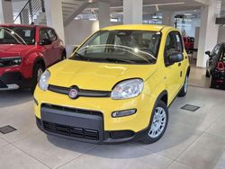 Giallo Usata 2024 Fiat Panda S Due volumi | 11.950 € (Buon prezzo)