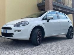 Bianco Usata 2014 Fiat Punto Lounge Due volumi | 6000 € (Cara)