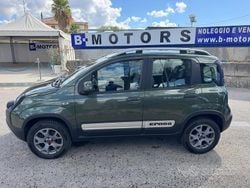 Verde Usata 2018 Fiat Panda 4x4 S Due volumi | 10.500 € (Buon prezzo)