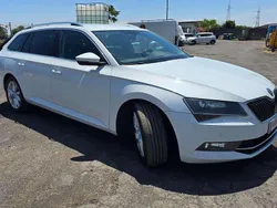 Bianco Usata 2019 Skoda Superb Ambition Station wagon | 15.000 € (Buon prezzo)