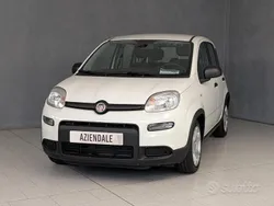 Bianco Usata 2024 Fiat Panda Due volumi | 10.390 € (Super prezzo)