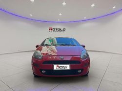 Rosso Usata 2014 Fiat Punto Lounge Tre volumi | 5400 € (Buon prezzo)