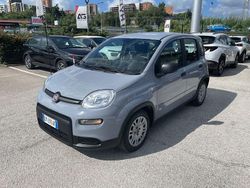 Grigio Usata 2023 Fiat Panda City Life Due volumi | 11.900 € (Cara)