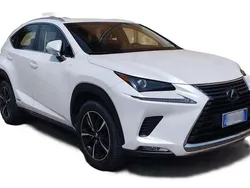 Bianco Usata 2018 Lexus NX300h Executive Line SUV | 24.500 € (Buon prezzo)