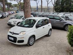 Bianco Usata 2019 Fiat Panda Easy Due volumi | 12.200 € (Molto cara)