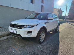Bianco Usata 2013 Land Rover Range Rover evoque Pure SUV | 19.900 € (Molto cara)