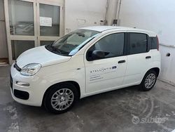 Bianco Nuova 2025 Fiat Panda S Furgone | 12.299 €