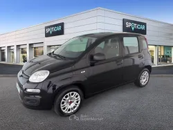 Nero Usata 2020 Fiat Panda Easy Due volumi | 9900 € (Buon prezzo)