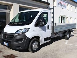 Bianco Usata 2021 Fiat Ducato Furgone | 21.000 € (Molto cara)