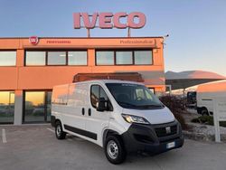 Bianco Usata 2023 Fiat Ducato 33 Furgone | 23.000 € (Molto cara)