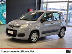 Other Usata 2022 Fiat Panda S Tre volumi | 9490 € (Buon prezzo)