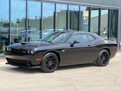 Nero Usata 2021 Dodge Challenger SXT Coupé | 35.300 € (Ottimo prezzo)