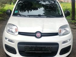 Bianco Usata 2013 Fiat Panda Easy Tre volumi | 6600 € (Buon prezzo)