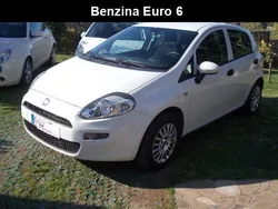 Bianco Usata 2015 Fiat Punto Street Due volumi | 6300 € (Buon prezzo)