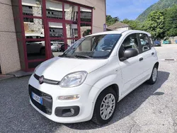 Bianco Usata 2016 Fiat Panda Due volumi | 6500 € (Ottimo prezzo)