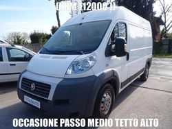 Bianco Usata 2014 Fiat Ducato Furgone | 13.900 € (Ottimo prezzo)