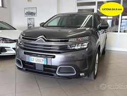 Grigio Usata 2021 Citroën C5 Business Class Monovolume | 16.800 € (Buon prezzo)