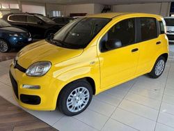 Giallo Nuova 2025 Fiat Panda Due volumi | 10.990 €